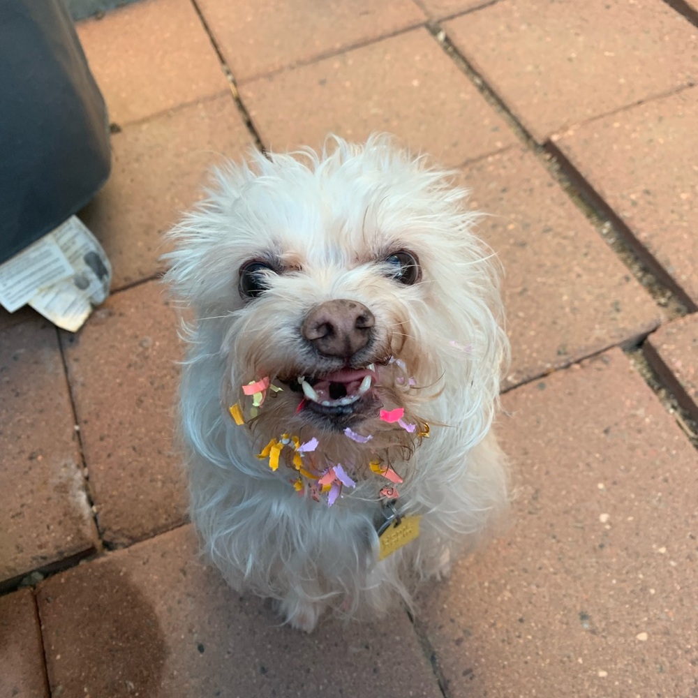 Meet your Posher, Michelle